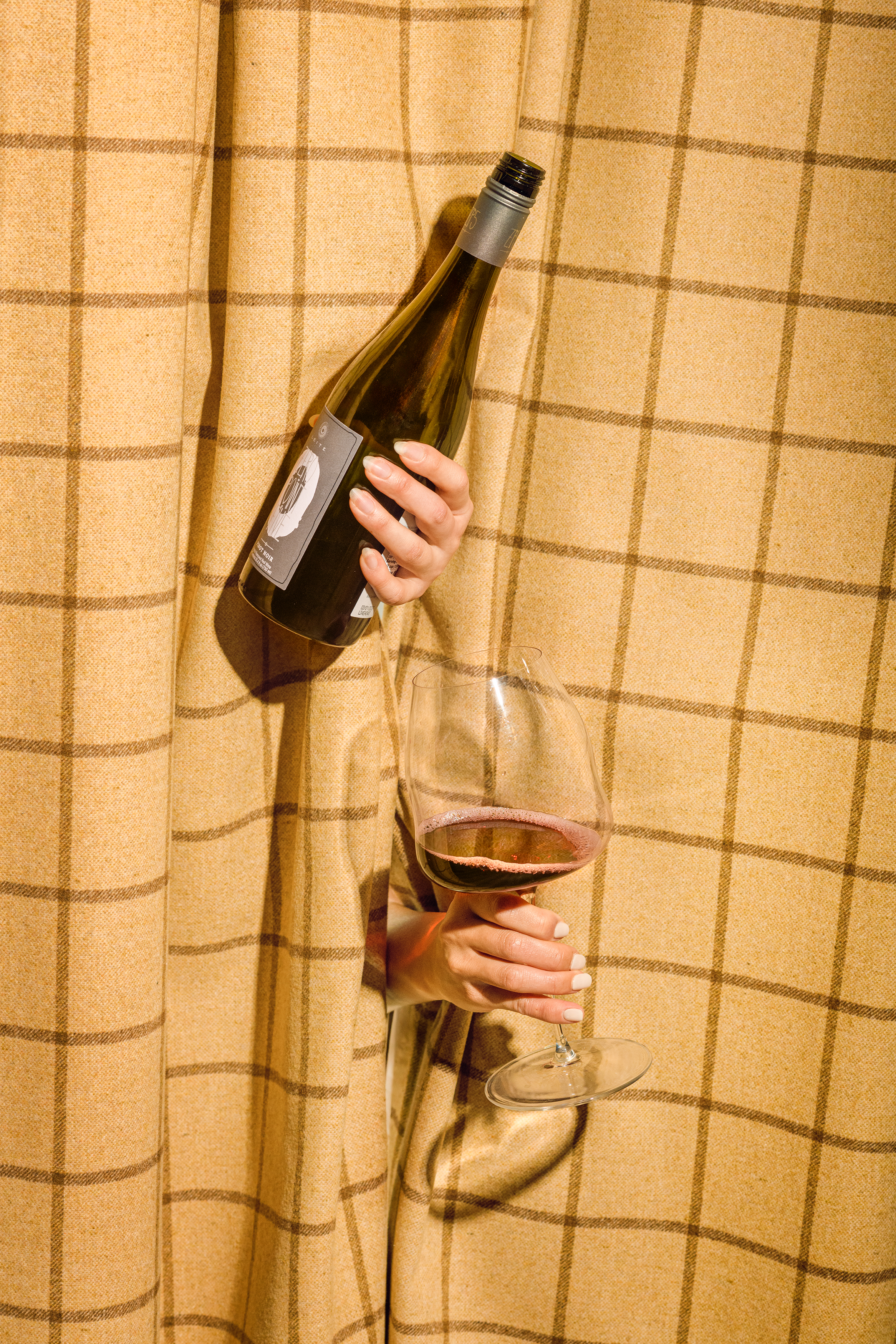 Non-alcoholic wine tasting